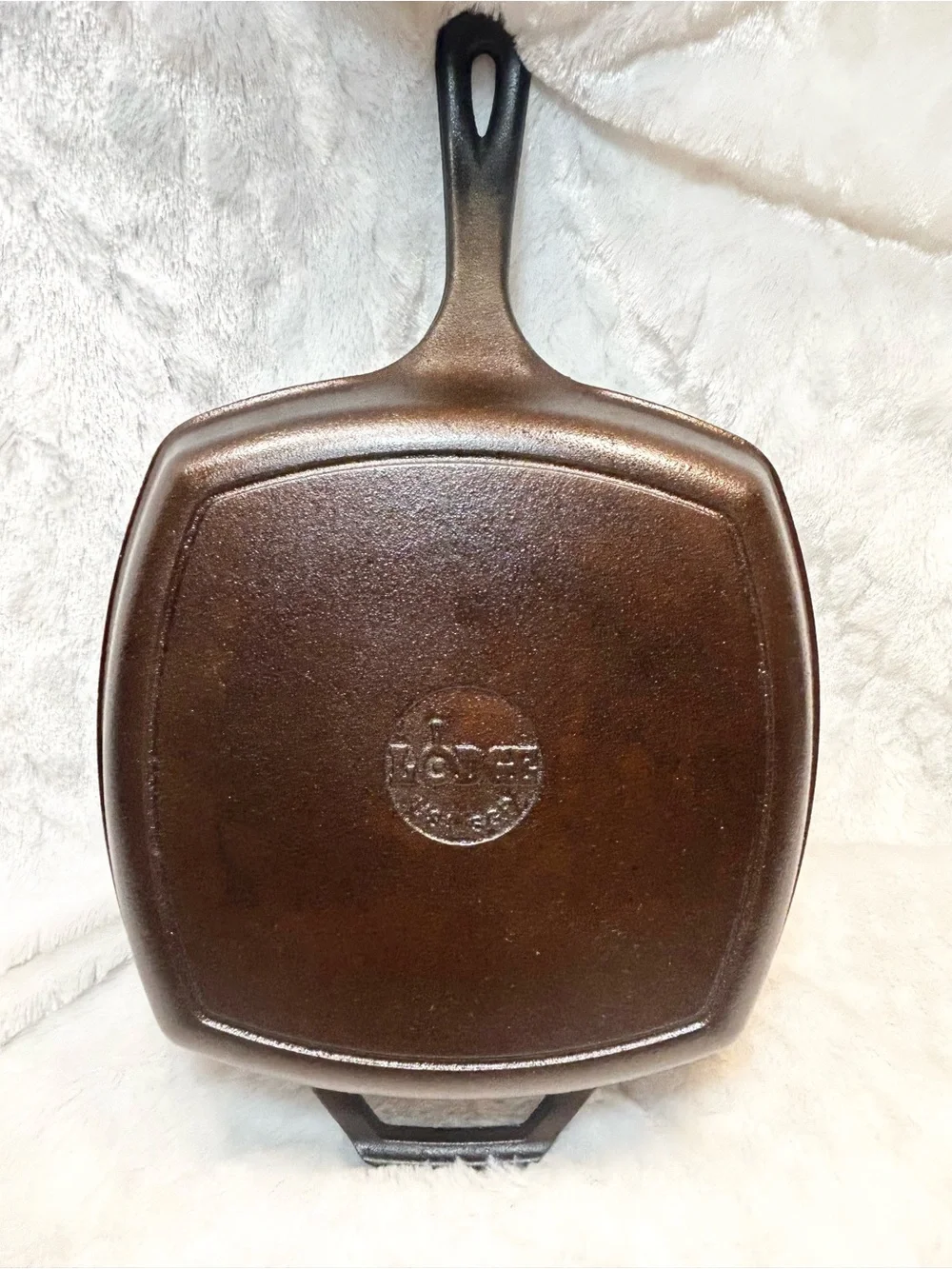 Lodge Cast Iron 10